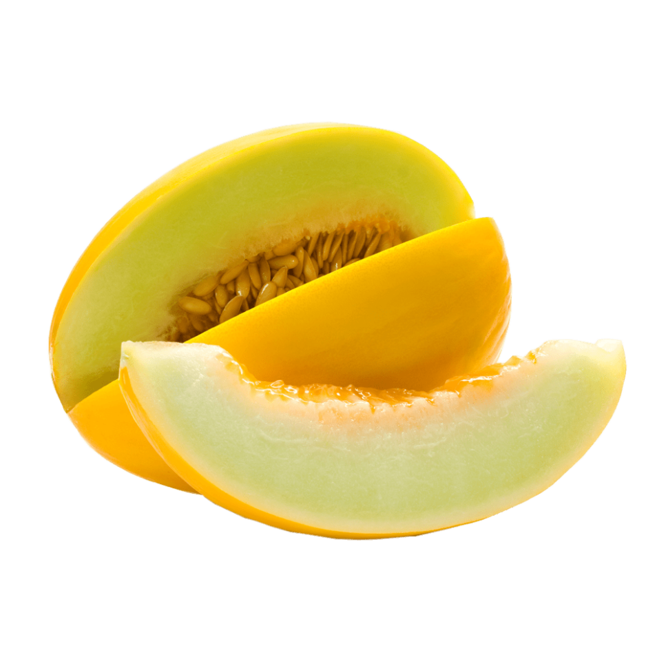 शारदा Sun melon