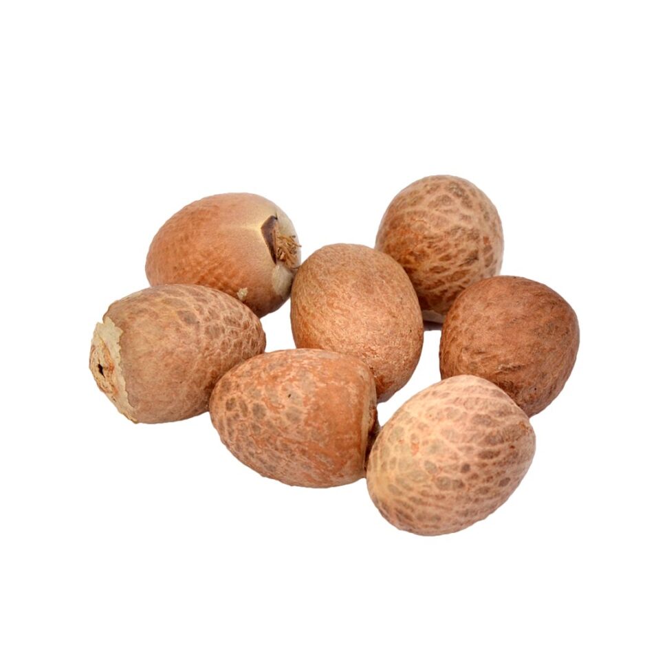 सुपारी Betel nut