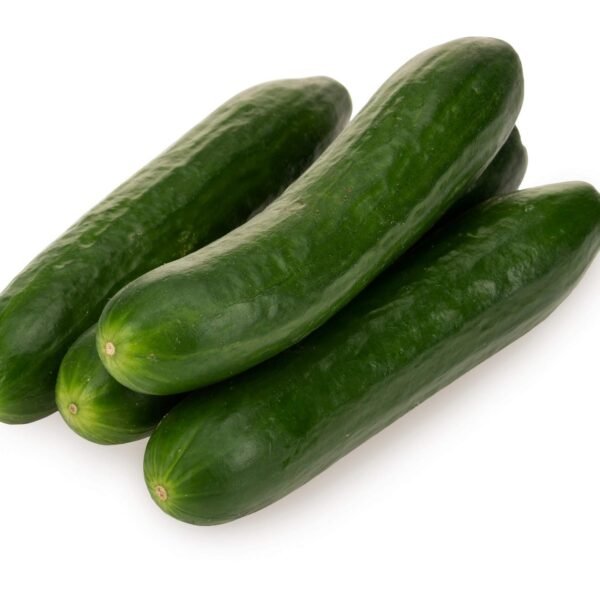 Cucumber english(Khera)