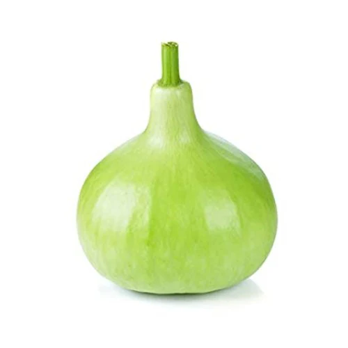 Bottle-Gourd