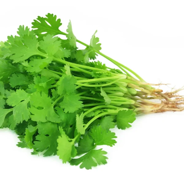 Coriander(Dhaniya)