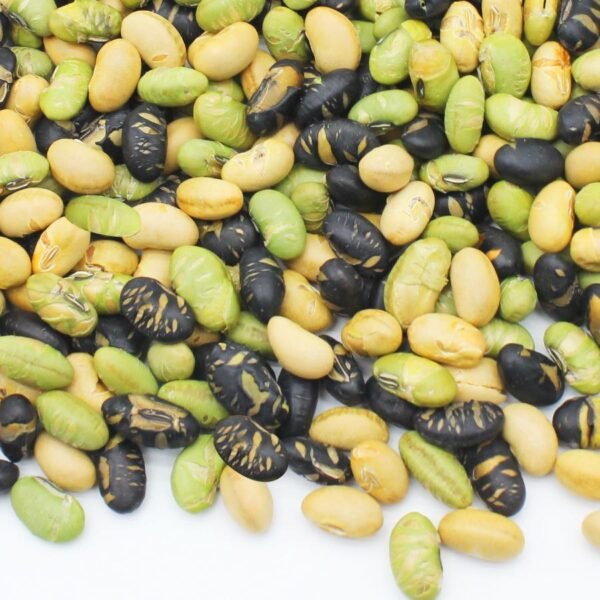 Roasted protein beans