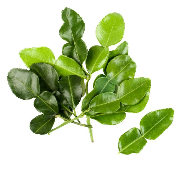 KaffirLimeLeaves