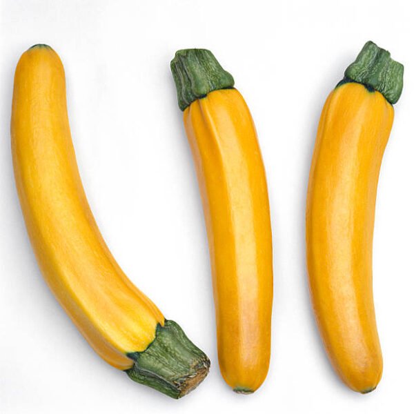 Zucchini Yellow(Jugni)