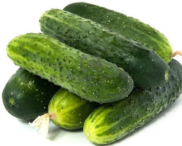 Desi cucumber(desi khera)