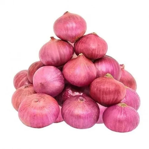 onions-