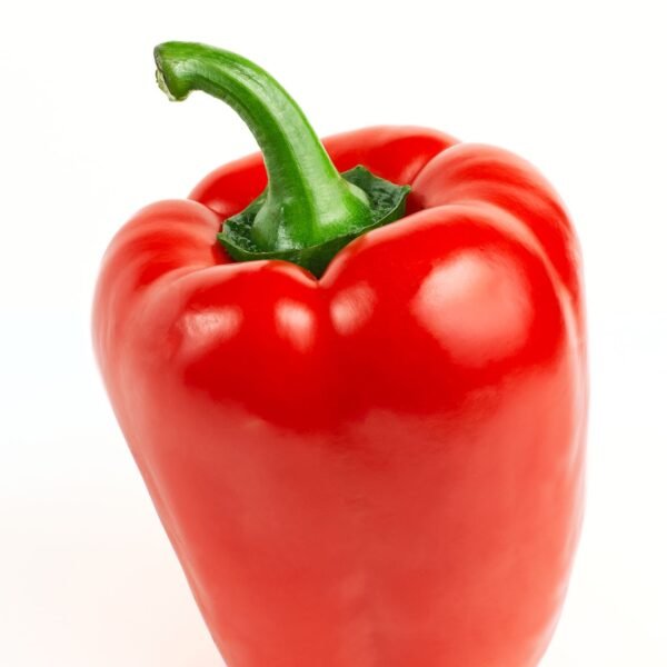 Fresh red bell pepper