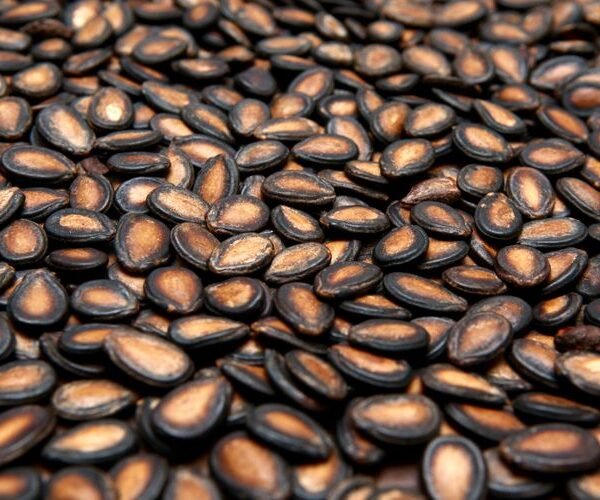 watermelon seeds